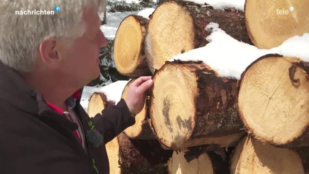 Zuger Wälder werden frei von Pestiziden