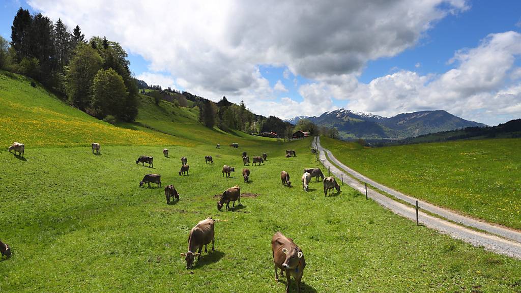 Zuger Landwirte setzen ihre eigenen Ideen zur Nachhaltigkeit um