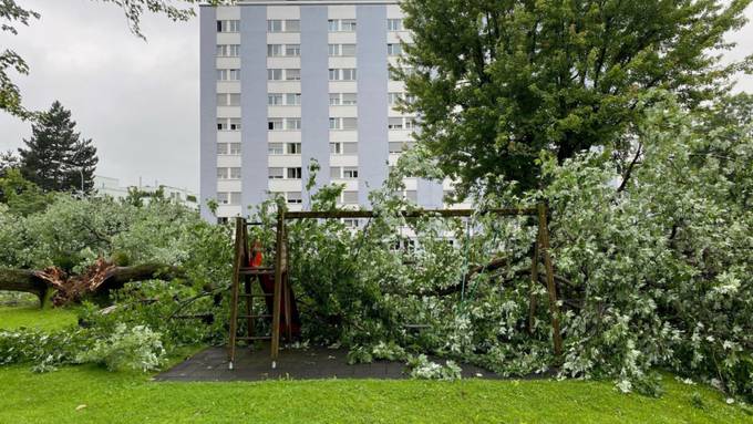 Baum stürzt in Zug auf Spielplatz und Autos