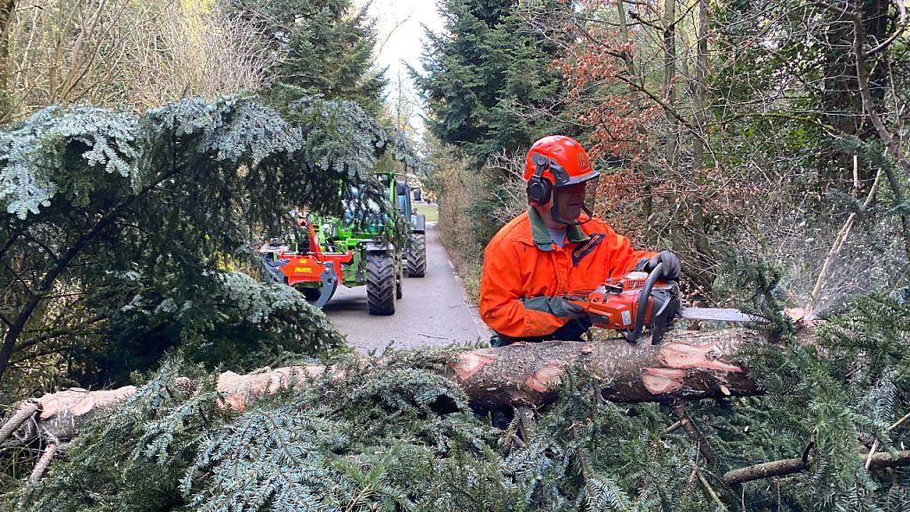 Forstarbeiter machen den Weg frei, nachdem durch Sturmwinde umgestürzte Bäume die Durchfahrt versperrt haben.