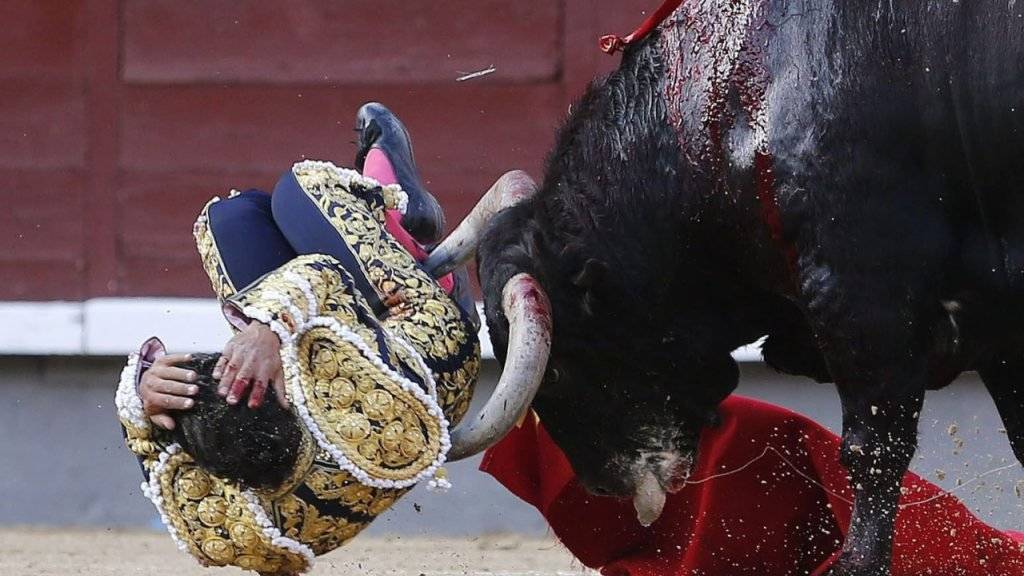 Der spanische Torero Ivan Fandiño erlag seinen Verletzungen nach einem Unglück in der Stierkampfarena. (Archivbild)