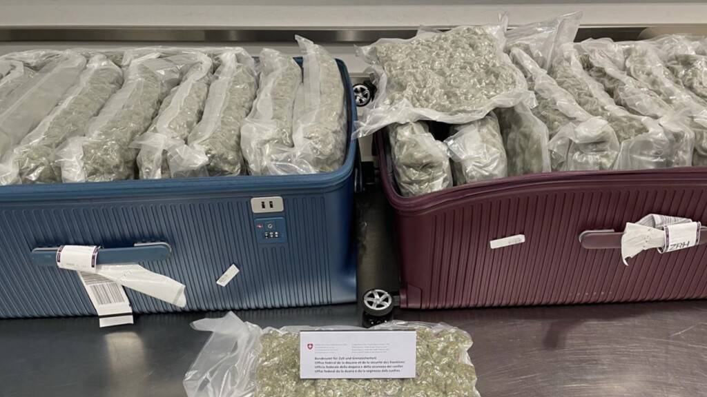 Passagier am Flughafen Zürich hat 24 Kilo Marihuana im Gepäck