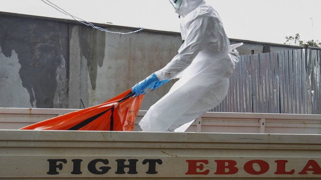 Das Ebola-Virus zählt zu den gefährlichsten Krankheitserregern der Welt. 25 bis 90 Prozent der Infizierten sterben. (Symbolbild)
