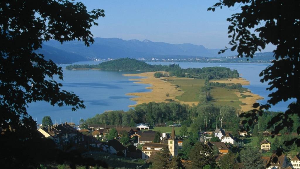 Mehr Hecken und Tümpel: Fünf Organisationen machen Vorschläge für die Zukunft der Drei-Seen-Landschaft. (Archivbild)