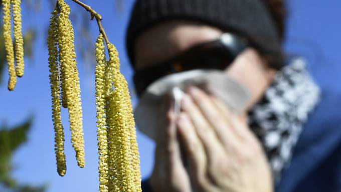 Pollenallergiker spüren wegen Haselpollen bereits Heuschnupfen