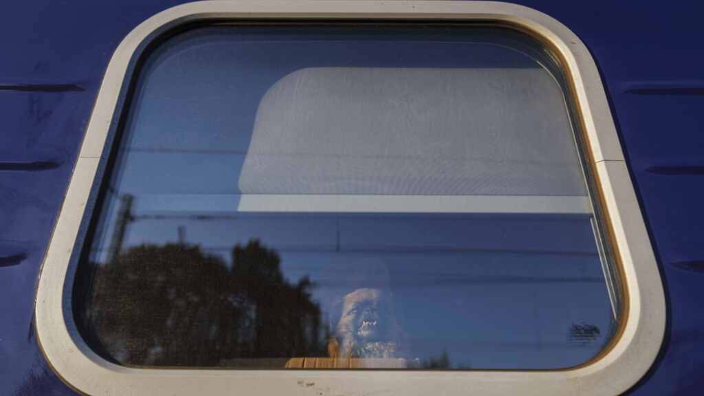 ARCHIV - Ein Hund schaut während einer Evakuierung aus dem Fenster eines Zuges am Bahnhof. Foto: Evgeniy Maloletka/AP/dpa