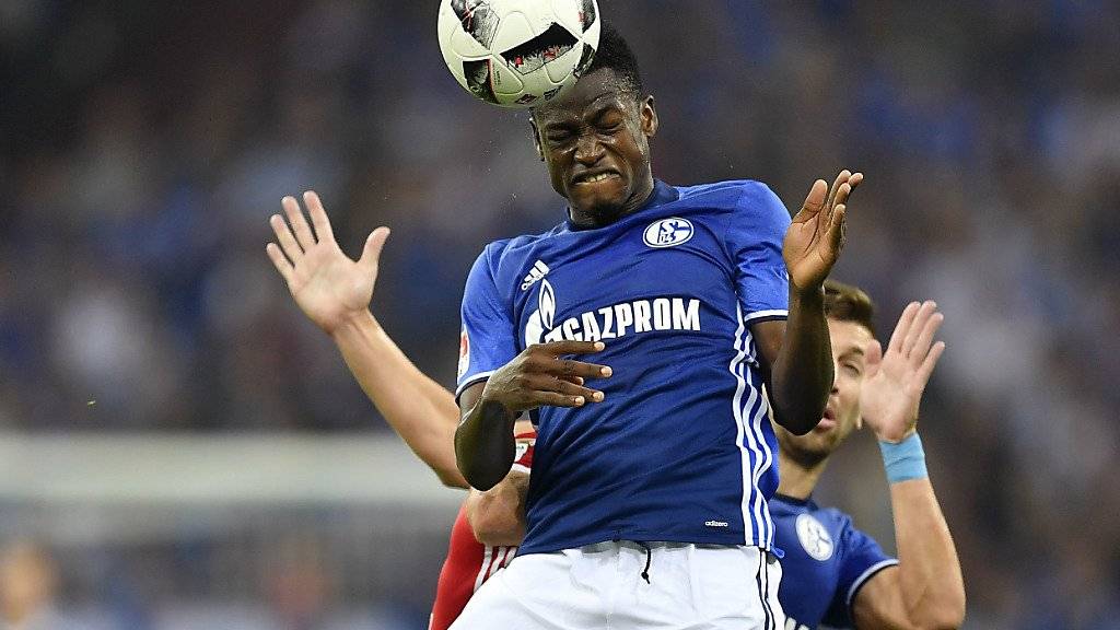 Abdul Rahman Baba steht Schalke in der Bundesliga-Rückrunde nicht zur Verfügung