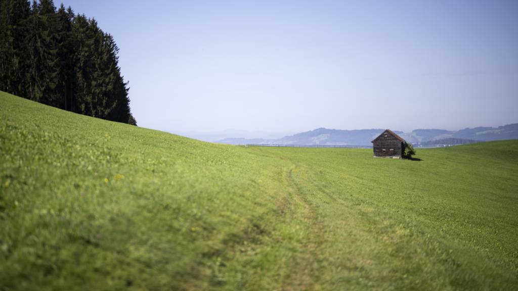 Im August 2024 gab der Kanton St. Gallen die Entdeckung von PFAS-Rückständen auf Landwirtschaftsland rund um Eggersriet bekannt. Seither laufen Diskussionen über den Umgang mit der «Ewigkeitschemikalie». (Archivbild)