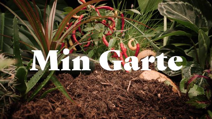 Min Garte