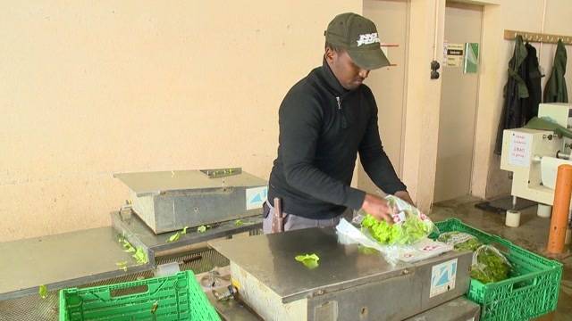 Flüchtlinge packen auf dem Bauernhof mit an