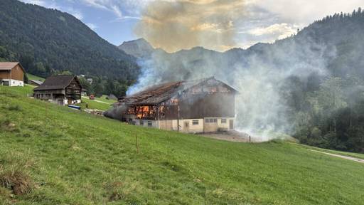 Scheune brennt nach Blitzeinschlag in Ebnat-Kappel SG nieder
