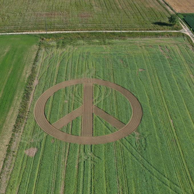 Peace-Zeichen auf Feld in Selzach soll zum Nachdenken anregen