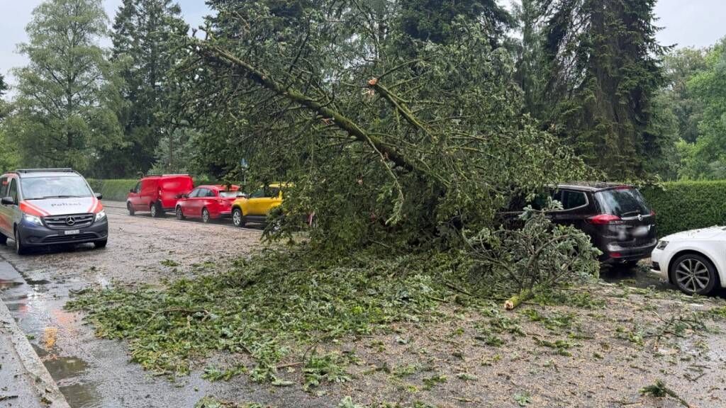 Luzerner Feuerwehren rücken wegen Gewitters aus