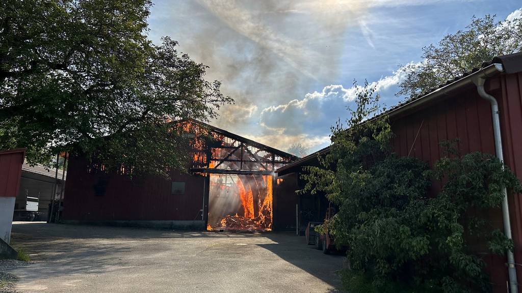 Grauer Rauch über Notkersegg – Landwirtschaftsbetrieb steht in Flammen