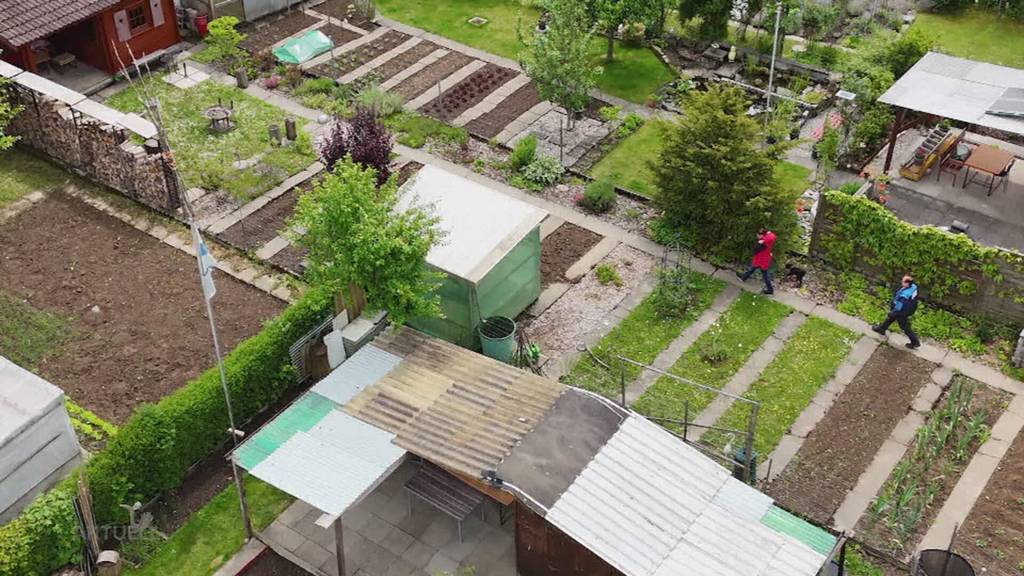 Neue Gartenordnung Staufen: Schrebergartenhäuser sind plötzlich zu gross