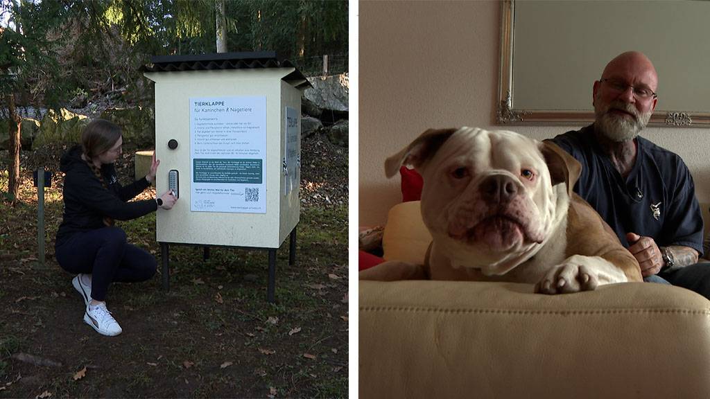 Tierklappe / Happy End für «Ronnie» 