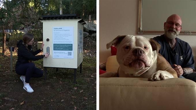 Tierklappe / Happy End für «Ronnie» 