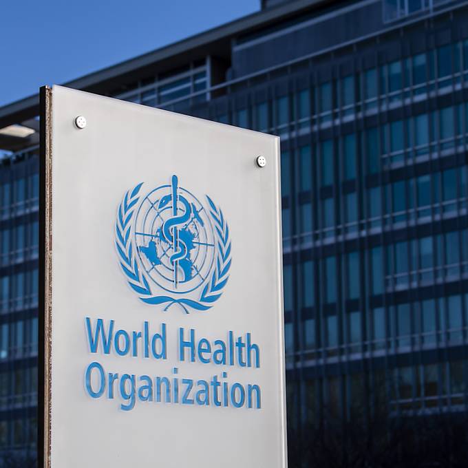 WHO erklärt Affenpocken-Ausbruch zu internationaler Notlage