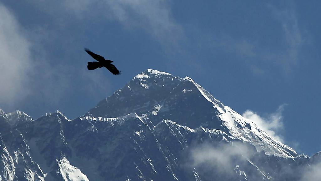 ARCHIV - Ein Vogel fliegt vor dem Mount Everest in Nepal. Foto: Niranjan Shrestha/AP/dpa