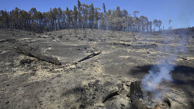 Australischer Sommer stellte über 200 neue Rekorde auf