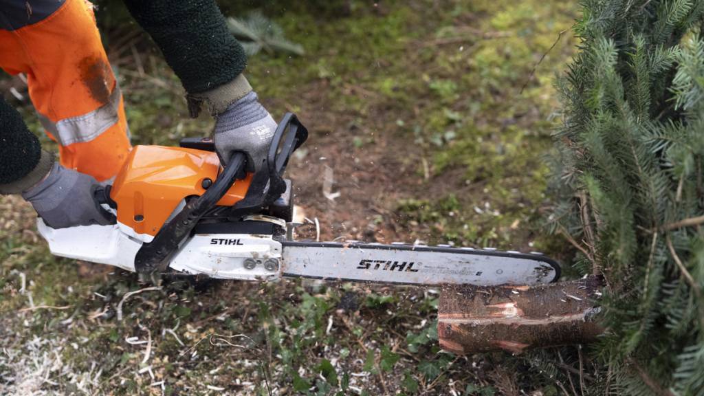 Motorsägen- und Gartengerätehersteller Stihl spürt Konjunkturflaute (Archivbild)