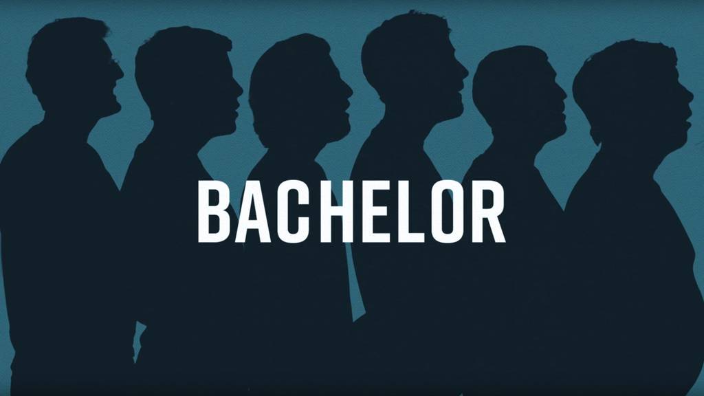 Luzerner Band landet Bachelor-Hit