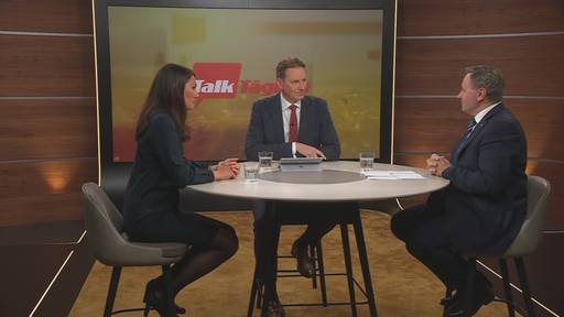 Kein Ständemehr für EU-Verträge