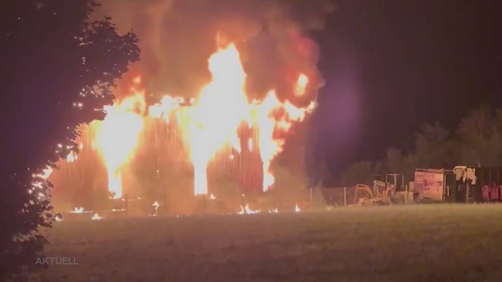 Brandstifter gesucht: Gärtnereibesitzer setzt 10'000 CHF Kopfgeld aus