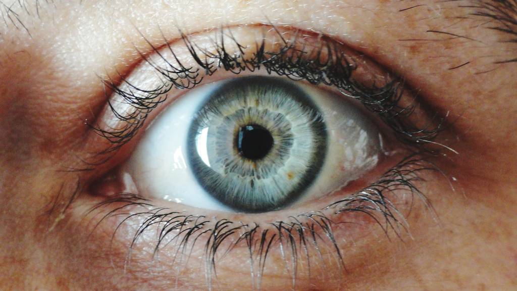 Fokus auf Auge Pupille