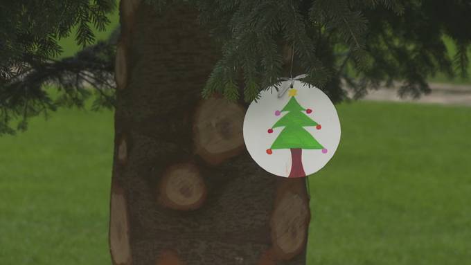 Christbaum auf dem Klosterplatz bekommt seinen Schmuck