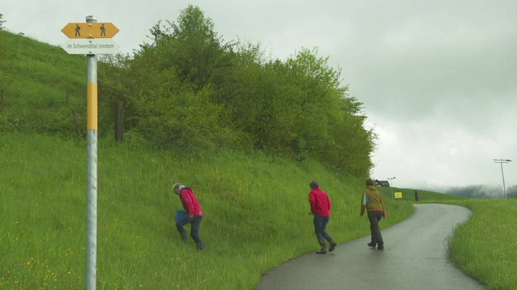 Die Suche nach der schönsten Hecke in Appenzell
