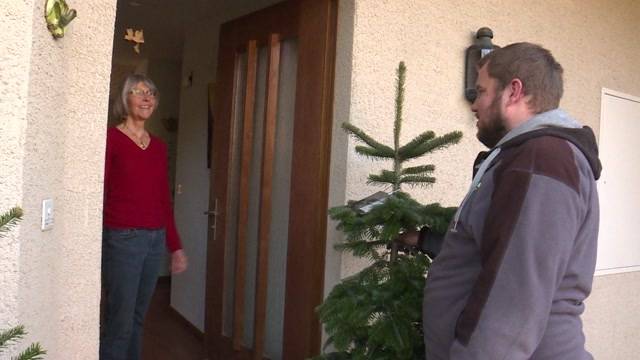 Rent a Weihnachtsbaum