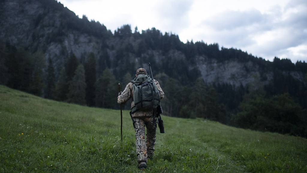 Im Kanton St. Gallen gibt es Jagdreviere sowohl in der Stadt als auch im Hochgebirge. (Symbolbild)