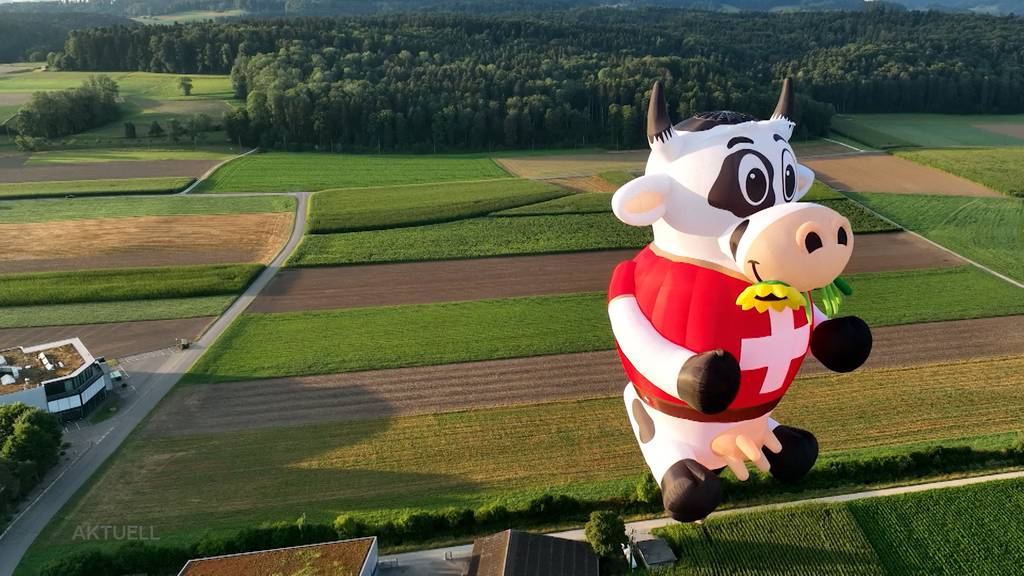 Selbstgebauter Kuhballon hebt ab