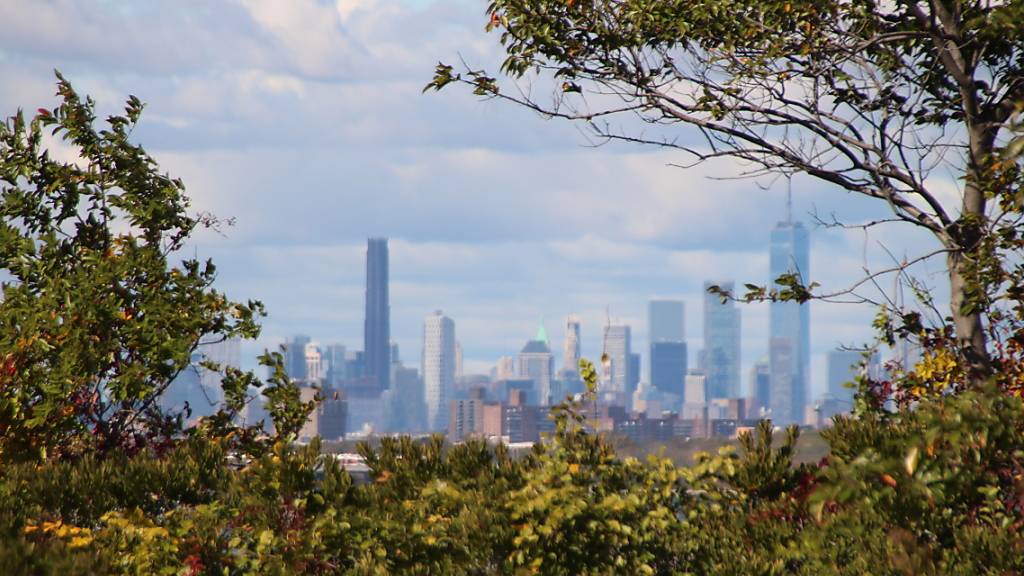 PRODUKTION - Die Skyline von Manhattan im Hintergrund, im Vordergrund das Naturschutzgebiet «Jamaica Bay Wildlife Refuge». Foto: Christina Horsten/dpa
