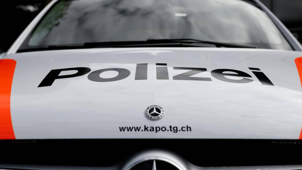 Die Polizei hat in Frauenfeld einen Dieb und in Horn einen Einbrecher festgenommen. (Symbolbild)