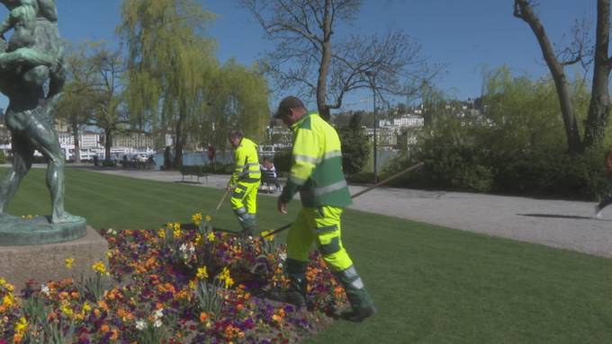 Stadtblumen brauchen viel Pflege