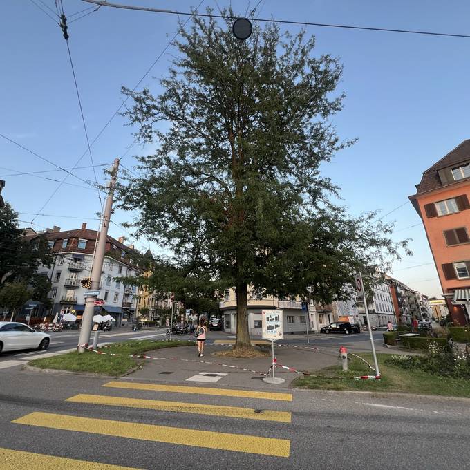 Abgesperrter Baum beim Wipkingerplatz beunruhigt Passanten