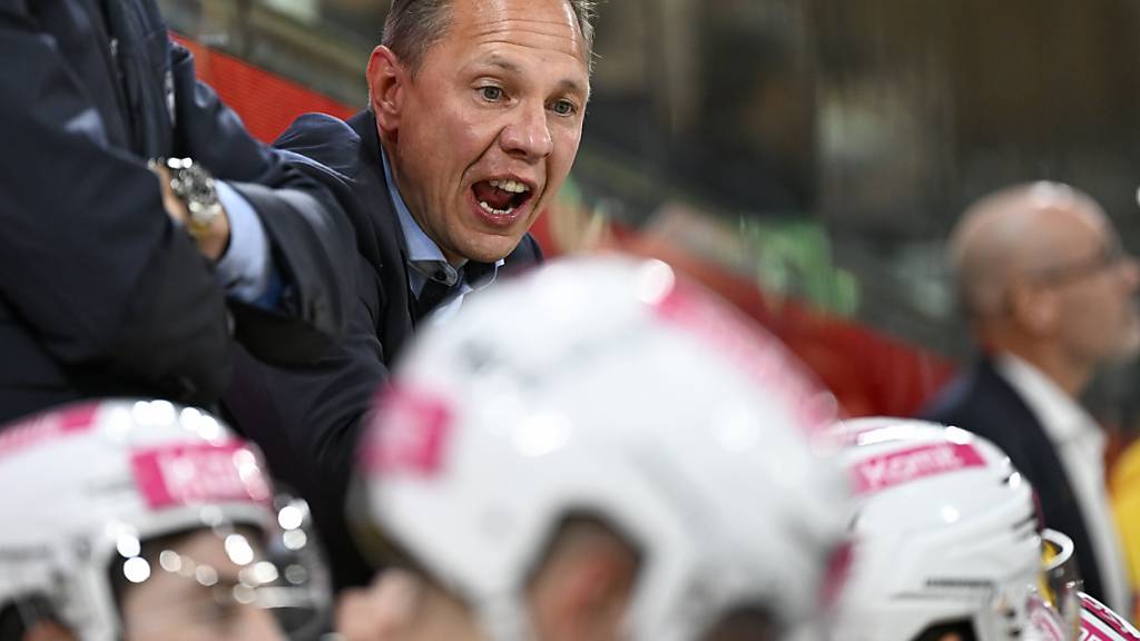 Jussi Tapola ist auch mit dem SC Bern auf einem guten Weg