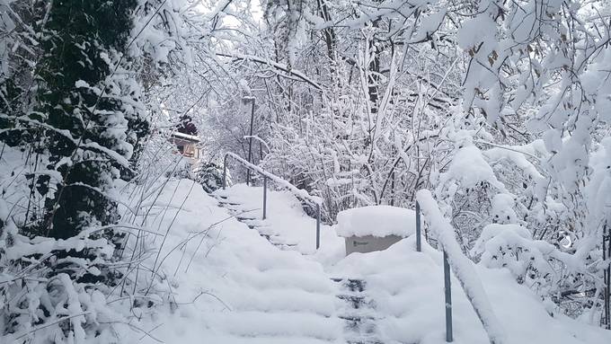 Kommt der Winter nochmals zurück?