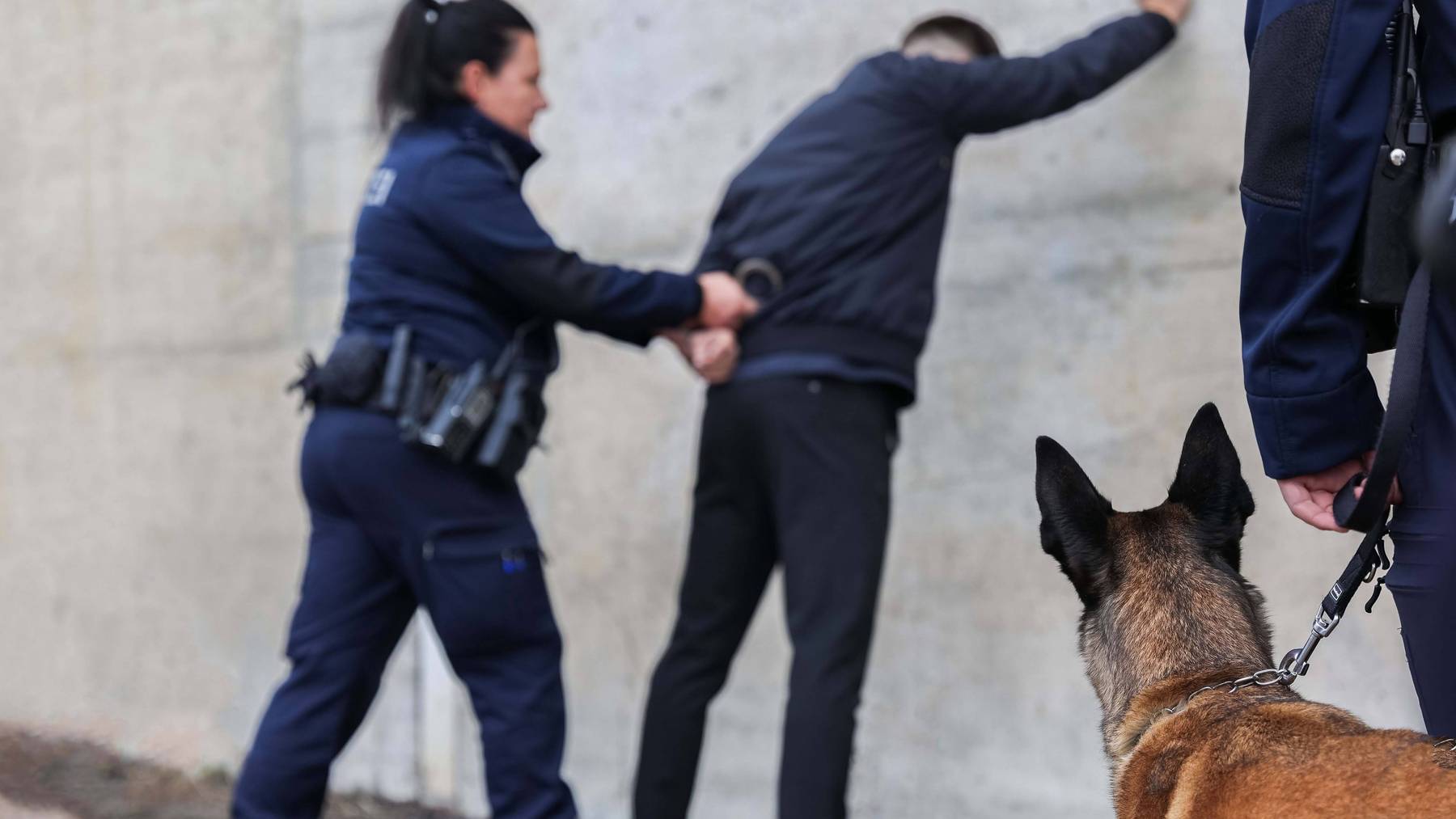 Der mutmassliche Dieb konnte mithilfe eines Diensthundes festgenommen werden. (Symbolbild)