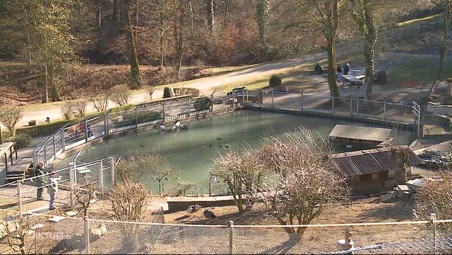 Tierpark Bad Zurzach vor ungewisser Zukunft