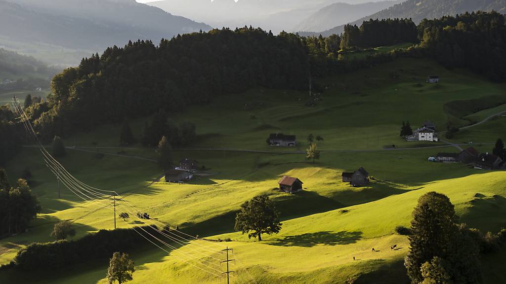 Kanton St.Gallen weitet Waldreservate aus