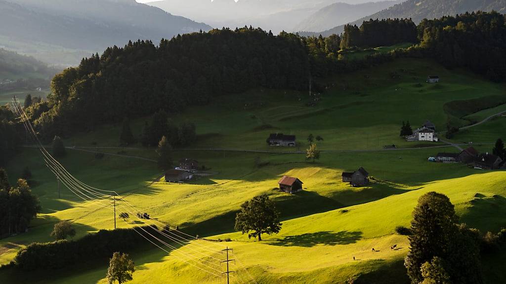 Ein Teil des Waldes oberhalb von Ebnat-Kappel ist neu als Waldreservat ausgeschieden. (Archivbild)