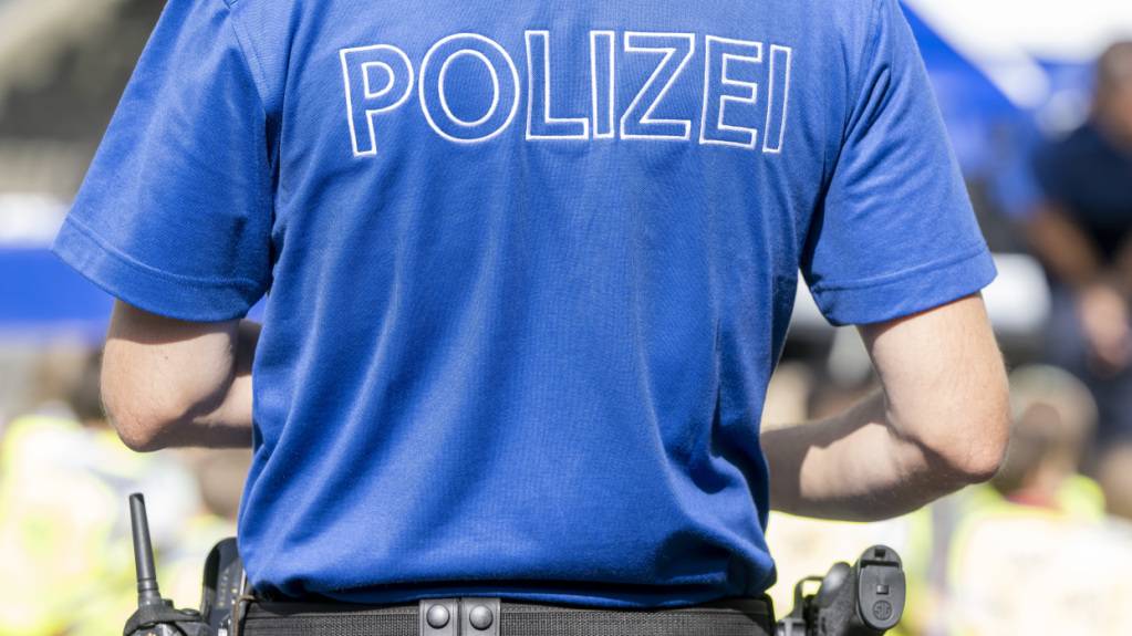 Im Kanton Luzern sind vermehrt falsche Handwerker unterwegs. Die Luzerner Polizei warnt. (Symbolbild)