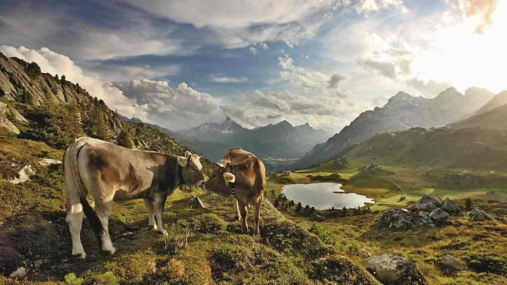 Auch im Naturpark Beverin gibt es kleine Weltwunder zu entdecken, das propagiert zumindest die neue Kampagne der Schweizer Pärke. Besucherinnen und Besucher werden darin aufgefordert, ihre eigenen Entdeckungen von kleinen Wundern auf den sozialen Medien zu teilen.