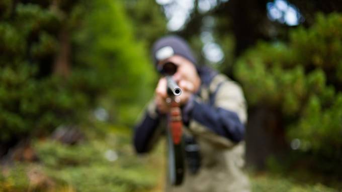 Jetzt dürfen auch Jäger den Wolf ins Visier nehmen