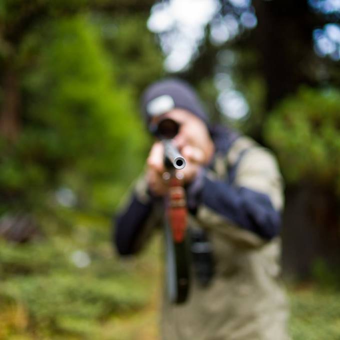 Jetzt dürfen auch Jäger den Wolf ins Visier nehmen