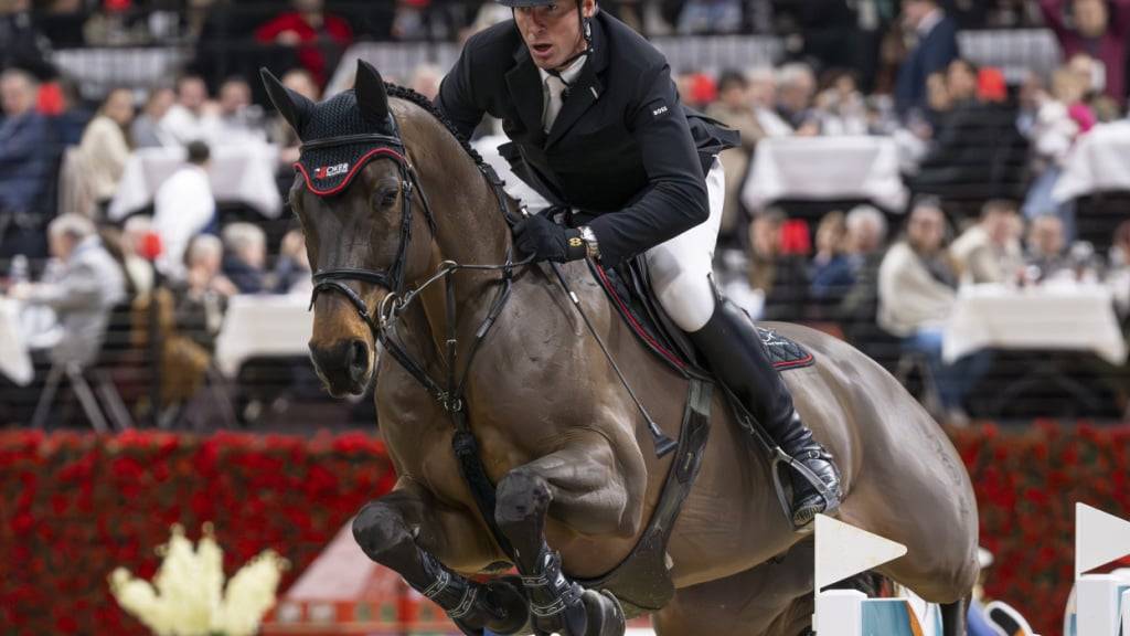 Schweizer Gespann in Verona auf Platz 2: Alain Jufer auf Dante MM