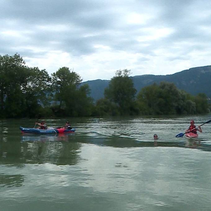 Aare-Schwimmer ist in Solothurn angekommen – und macht Zwangspause